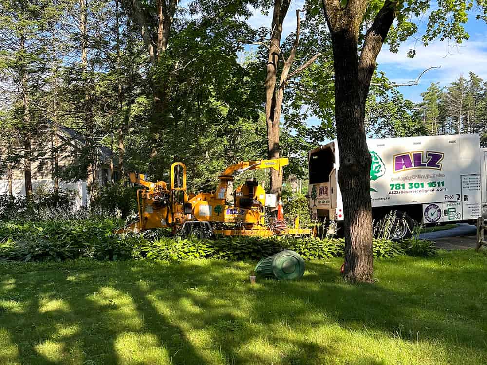 Commercial tree services Near Me